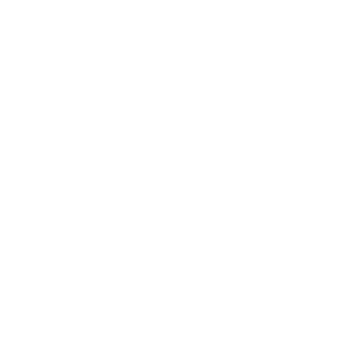 Website Design icon