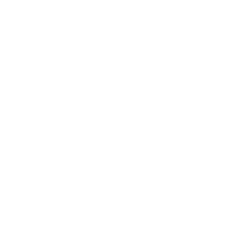 SEO Marketing icon